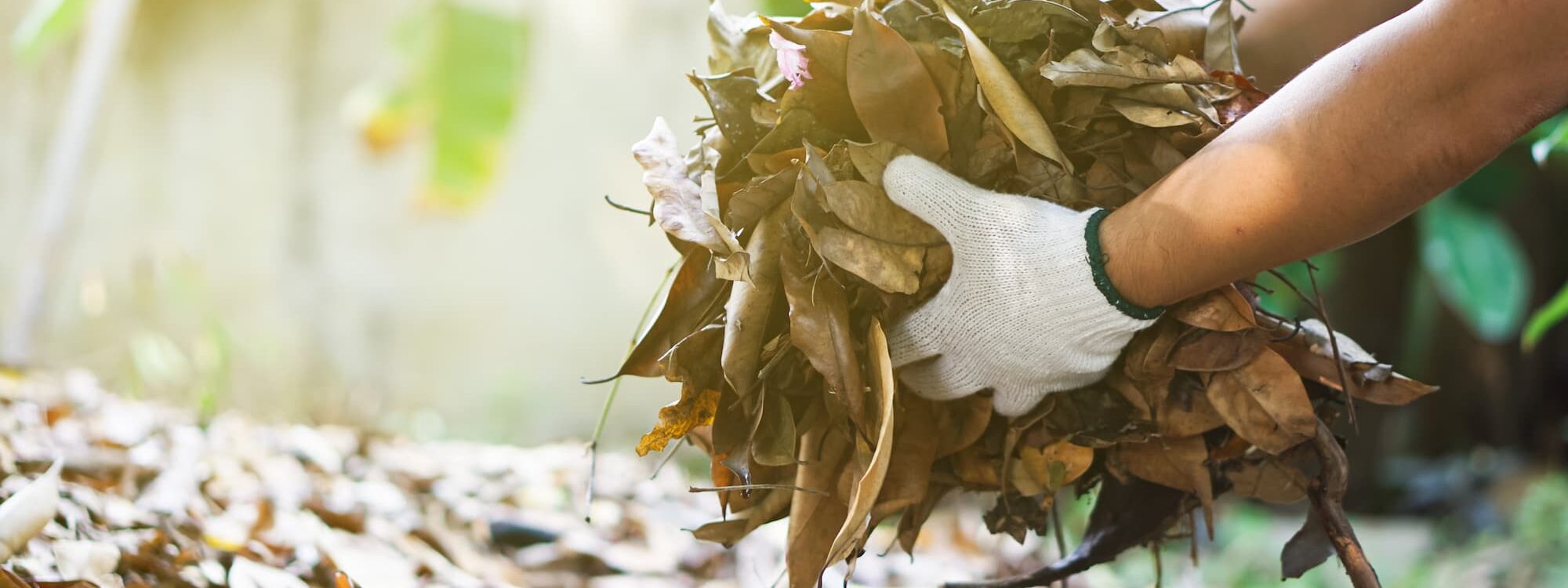Comment g&eacute;rer efficacement les d&eacute;chets verts en &eacute;t&eacute; gr&acirc;ce &agrave; la location de bennes ? Lutterbach