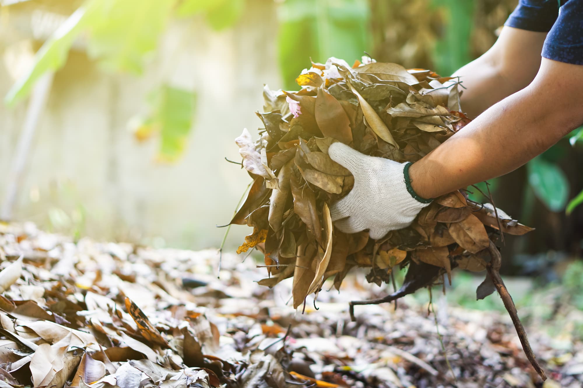 Comment g&eacute;rer efficacement les d&eacute;chets verts en &eacute;t&eacute; gr&acirc;ce &agrave; la location de bennes ? Lutterbach
